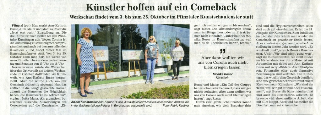 Pressebericht in den BNN 2020